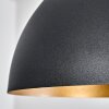 BELES Pendant Light black, 1-light source
