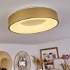 PLAYAS Ceiling Light LED gold, white, 1-light source