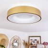 PLAYAS Ceiling Light LED gold, white, 1-light source
