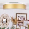 PLAYAS Ceiling Light LED gold, white, 1-light source