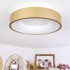 PLAYAS Ceiling Light LED gold, white, 1-light source
