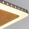 GUACACALLO Ceiling Light LED gold, black, white, 1-light source