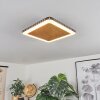 GUACACALLO Ceiling Light LED gold, black, white, 1-light source