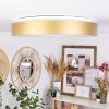 PLAYAS Ceiling Light LED gold, white, 1-light source