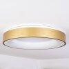 PLAYAS Ceiling Light LED gold, white, 1-light source