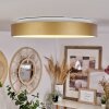 PLAYAS Ceiling Light LED gold, white, 1-light source