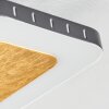 GUACACALLO Ceiling Light LED gold, black, white, 1-light source