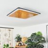 GUACACALLO Ceiling Light LED gold, black, white, 1-light source