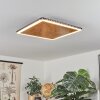 GUACACALLO Ceiling Light LED gold, black, white, 1-light source