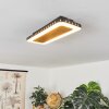 GUACACALLO Ceiling Light LED gold, black, white, 1-light source