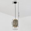 VENUS Pendant Light black, 1-light source