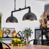 BELES Pendant Light black, 2-light sources