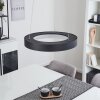 PLAYAS Pendant Light LED black, 1-light source