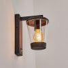ELOIDA Outdoor Wall Light anthracite, 1-light source, Motion sensor