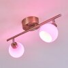 Motala Ceiling Light LED matt nickel, 2-light sources, Remote control, Colour changer