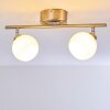 Motala Ceiling Light LED matt nickel, 2-light sources, Remote control, Colour changer