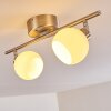 Motala Ceiling Light LED matt nickel, 2-light sources, Remote control, Colour changer