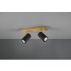 Trio MARLEY Ceiling Light black-gold, 2-light sources