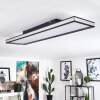 NABBAS Ceiling Light LED black, 1-light source, Remote control