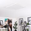 BOYERO Ceiling Light LED white, 1-light source