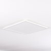 BOYERO Ceiling Light LED white, 1-light source