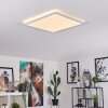 BOYERO Ceiling Light LED white, 1-light source