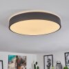 SAMAIRA Ceiling Light LED white, 1-light source, Remote control