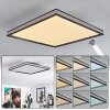 NABBAS Ceiling Light LED black, 1-light source
