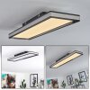 NABBAS Ceiling Light LED black, 1-light source