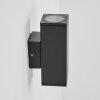 KASTARI Outdoor Wall Light anthracite, 2-light sources