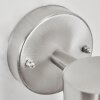 CORNEDA Outdoor Wall Light stainless steel, 1-light source