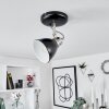 GRALINGEN Ceiling Light matt nickel, black, white, 1-light source