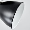 GRALINGEN Ceiling Light matt nickel, black, white, 1-light source