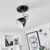 GRALINGEN Ceiling Light matt nickel, black, white, 1-light source