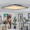 NABBAS Ceiling Light LED black, 1-light source