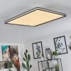 NABBAS Ceiling Light LED black, 1-light source