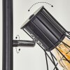 BARDHAMAN Floor Lamp black, 3-light sources