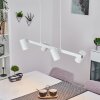 ZUOZ Pendant Light white, 4-light sources