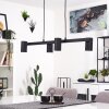 ZUOZ Pendant Light black, 4-light sources