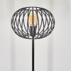 TRAPICHERA Floor Lamp black, 1-light source