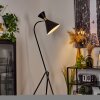 RINKILA Floor Lamp black, 1-light source