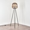 COMBEIMA Floor Lamp black, 1-light source