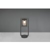 Trio LUNGA path light anthracite, 1-light source