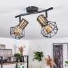 BARDHAMAN Ceiling Light black, 2-light sources