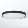 KELVA Ceiling Light LED antique brass, black, white, 1-light source