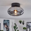 HAIKALA Ceiling Light Smoke-coloured, 1-light source