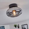 HAIKALA Ceiling Light Smoke-coloured, 1-light source