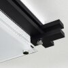 BALOUTA Ceiling Light black, white, 2-light sources