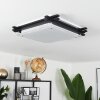 BALOUTA Ceiling Light black, white, 2-light sources
