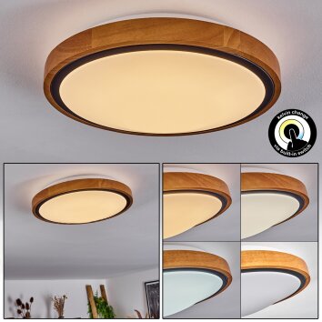 SOBREDO Ceiling Light LED Ecru, black, white, 1-light source